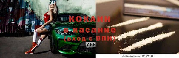 СК Волоколамск