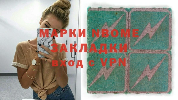 гидра Верхний Тагил