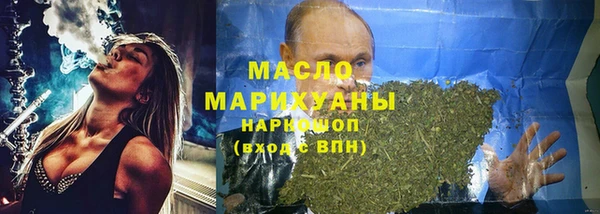 гидра Верхний Тагил