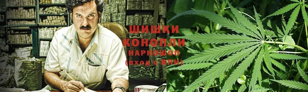 гидра Верхний Тагил