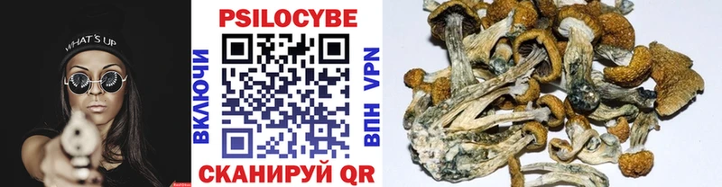 mega онион  купить закладку  Смоленск  Псилоцибиновые грибы Psilocybine cubensis 